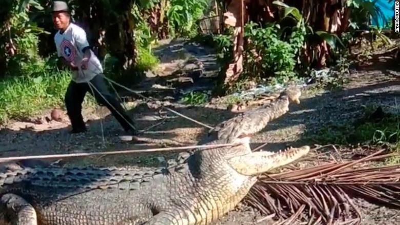 Dùng dây thừng bắt sống cá sấu khủng dài hơn 4 mét ở Indonesia