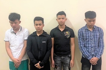 Bắt nhóm thanh niên choai đập nát hơn 2 tạ dưa của cụ ông ở Nghệ An