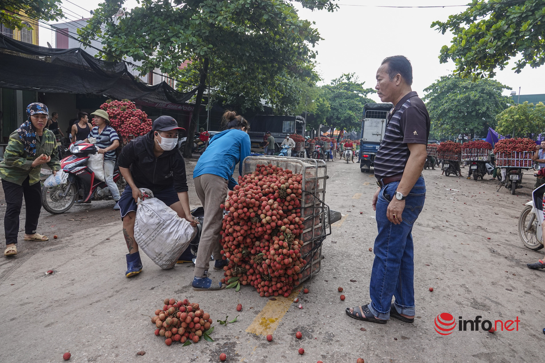 Bắc Giang: Vải vào vụ chín đỏ vườn, 5h sáng phóng xe máy cõng gần 2 tạ quả đi đổ buôn, quốc lộ 31 tắc dài