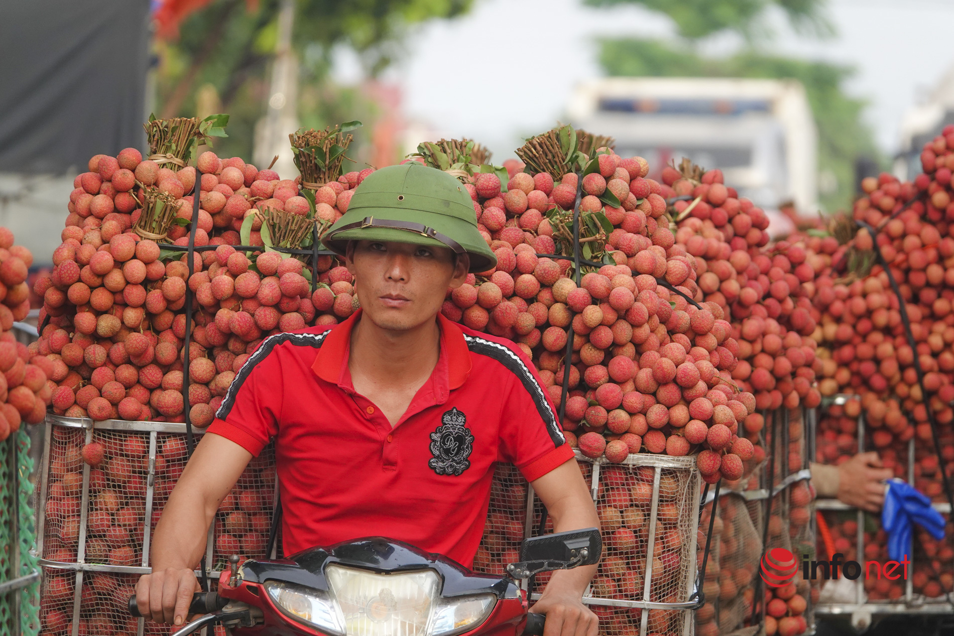 Bắc Giang: Vải vào vụ chín đỏ vườn, 5h sáng phóng xe máy cõng gần 2 tạ quả đi đổ buôn, quốc lộ 31 tắc dài