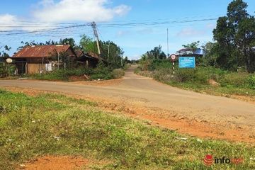 Quyết định 'số phận' 4 dự án đường nằm trong khu vực thăm dò khai thác khoáng sản Bauxit ở Đắk Nông