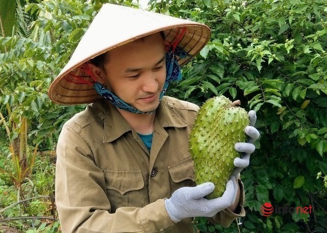 9X từng làm hỏng cả tấn mãng cầu, giờ có doanh thu 3 tỷ đồng mỗi năm nhờ biến quả tươi rẻ tiền thành loại trà độc đáo