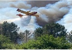 Cháy rừng đã tàn phá 20 nghìn hecta rừng tại Tây Ban Nha trong mùa hè này