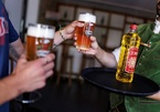 Quán bar ở Đức đổi bia lấy dầu hướng dương