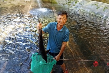 'Vua' cá tầm trên đỉnh núi Pù Rinh: Cả thập kỷ ăn ở với cá