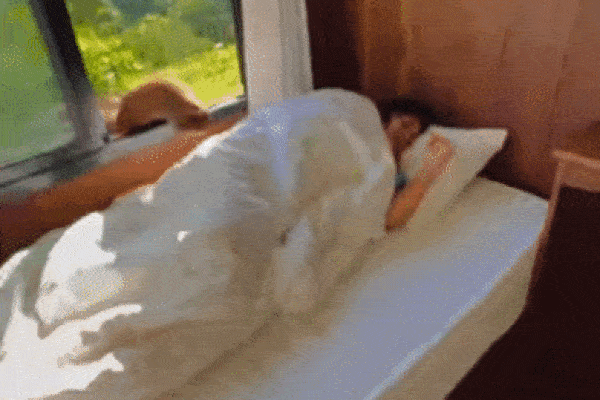 Khoảnh khắc bất ngờ voi khổng lồ đánh thức du khách đang ngủ qua cửa sổ
