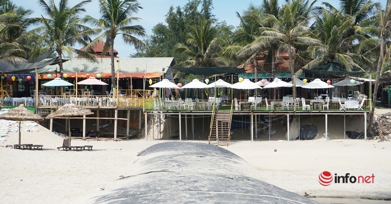 Xây đê ngầm chống sạt lở khẩn cấp mong 'hồi sinh' bãi biển Cửa Đại