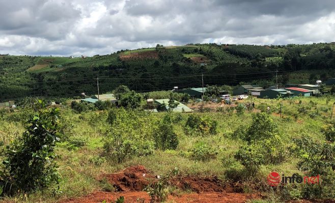 Đắk Nông: Hơn 34 ha đất công giao cho doanh nghiệp sử dụng bị lấn chiếm, cưỡng chế thế nào?
