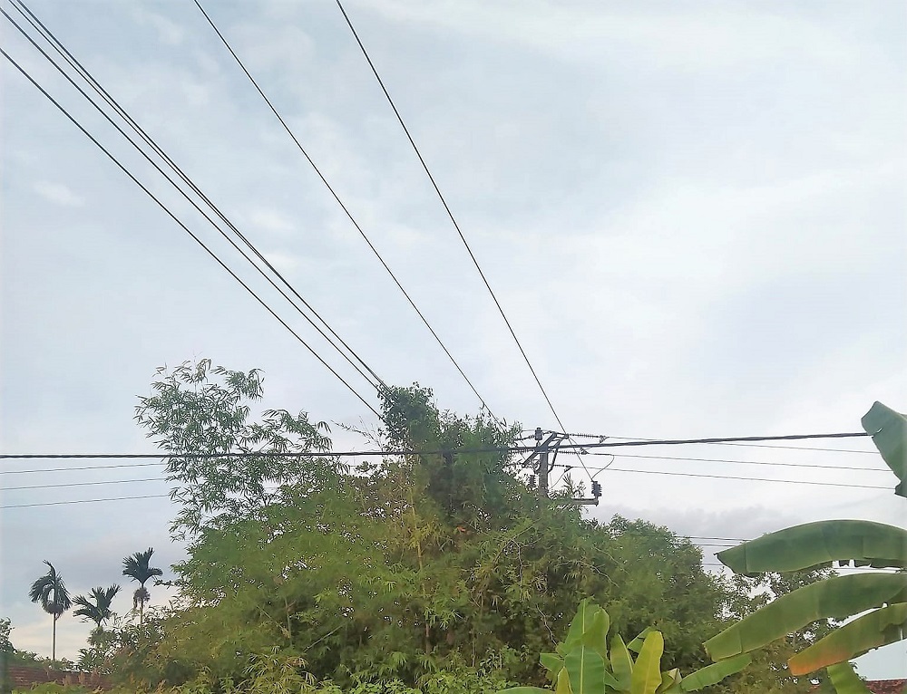 Chặt cây gần đường điện, học sinh lớp 10 bị điện giật tử vong