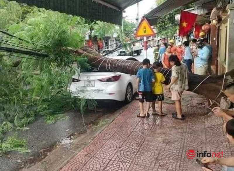 Hà Tĩnh: Cây đổ, đường phố ngập cục bộ sau mưa lớn
