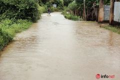 Đắk Lắk: Mưa lớn, một huyện hơn 50 ngôi nhà bị ngập, hàng nghìn hecta cây trồng hư hại