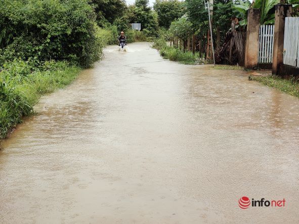 Đắk Lắk: Mưa lớn, một huyện hơn 50 ngôi nhà bị ngập, hàng nghìn hecta cây trồng hư hại