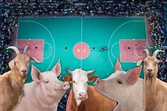 Độc đáo giải thi đấu bóng rổ khí thế như NBA nhưng phần thưởng là ‘bò, dê, lợn’