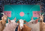 Độc đáo giải thi đấu bóng rổ khí thế như NBA nhưng phần thưởng là ‘bò, dê, lợn’