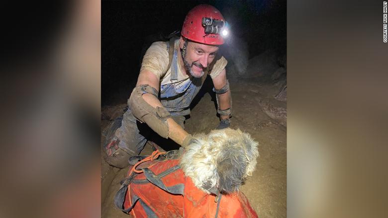Chú chó may mắn sống sót sau 2 tháng mắc kẹt trong hang động sâu dưới lòng đất