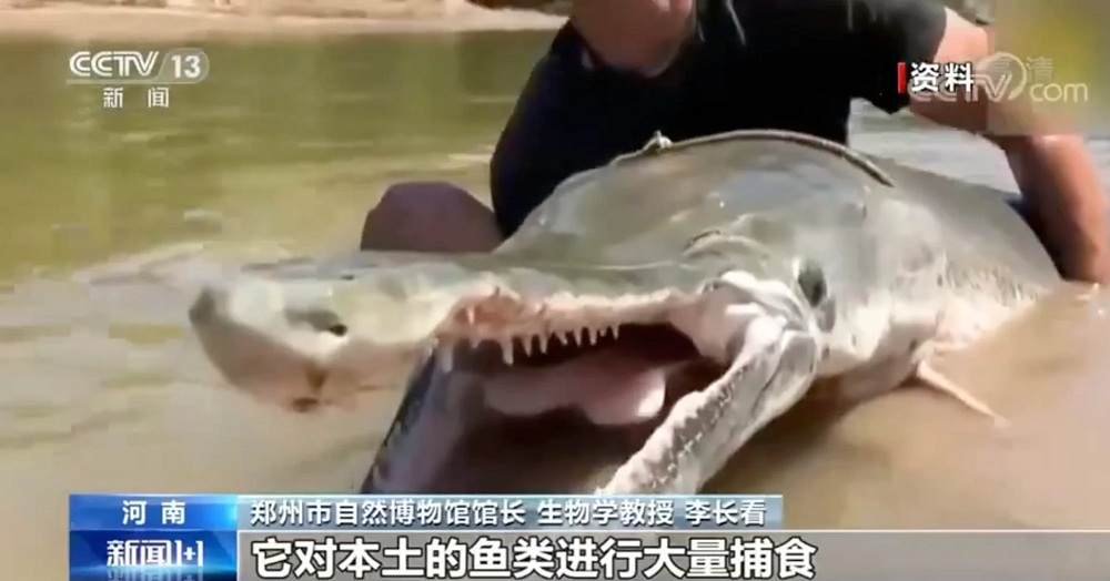 Trung Quốc hút cạn hơn 200.000m3 nước trong hồ để bắt cá 'quái vật'