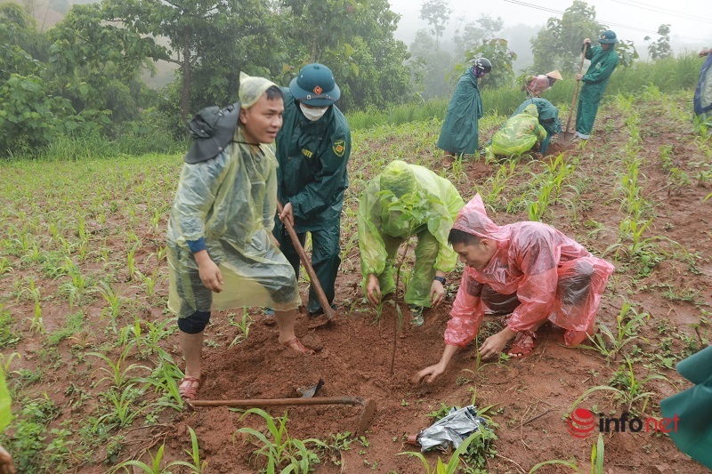 VARS tiếp tục hành trình 'góp một cây để có rừng' với dự án Rừng tưởng niệm nhà văn Nguyễn Huy Thiệp