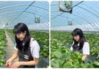 Xu hướng 'kwichon' của giới trẻ Hàn Quốc: Dời phố về quê làm trang trại