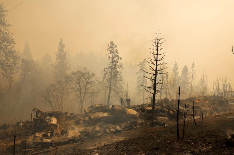 Cháy rừng thảm khốc ở California, Mỹ